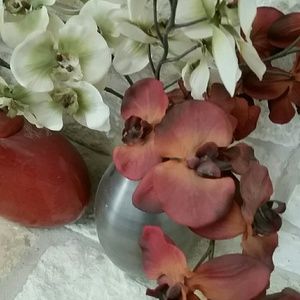 Meet your Posher, Reyna